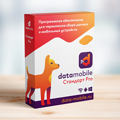 ПО DataMobile, версия Стандарт Pro в Комсомольске-на-Амуре